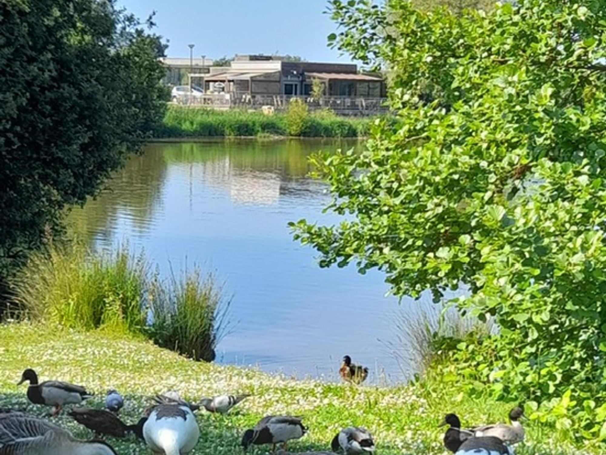Appartement Refait A Neuf Avec Loggia Et Parking, A 2 Pas De La Plage Et Des Commerces - Fr-1-712-7 Villers-sur-Mer Extérieur photo